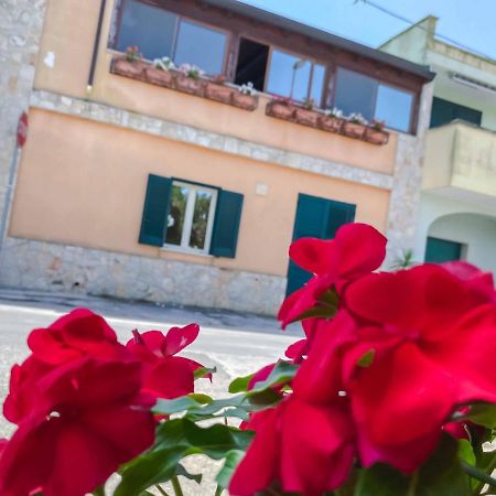 Aparthotel Cortellenica Torre San Giovanni Ugento Eksteriør billede